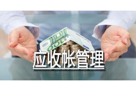 金湖专业讨债公司有哪些核心服务？